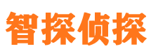 荥经外遇出轨调查取证